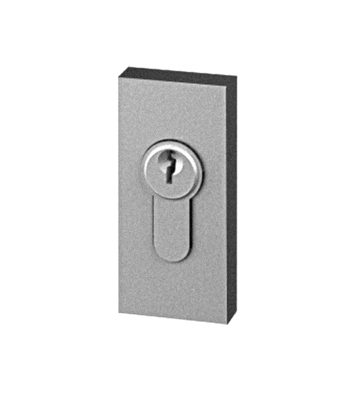 Escutcheon Picture