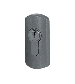 Escutcheon Picture